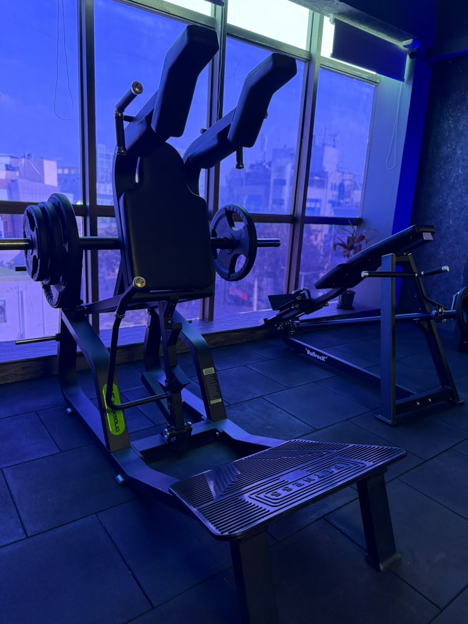 Assisted dip and chin-up station with boxing zone in the background
