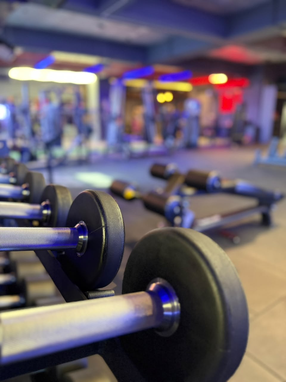 Dumbbell rack with the full training floor visible behind