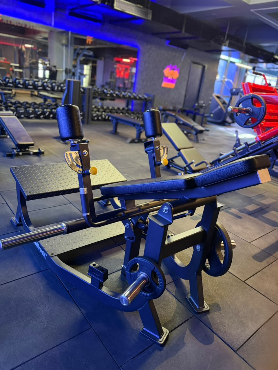 ATMOS gym atmosphere with blue and red lighting