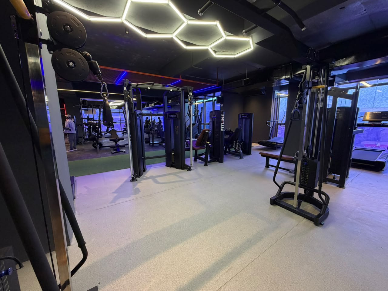 Pin-loaded strength machines under hexagonal lighting